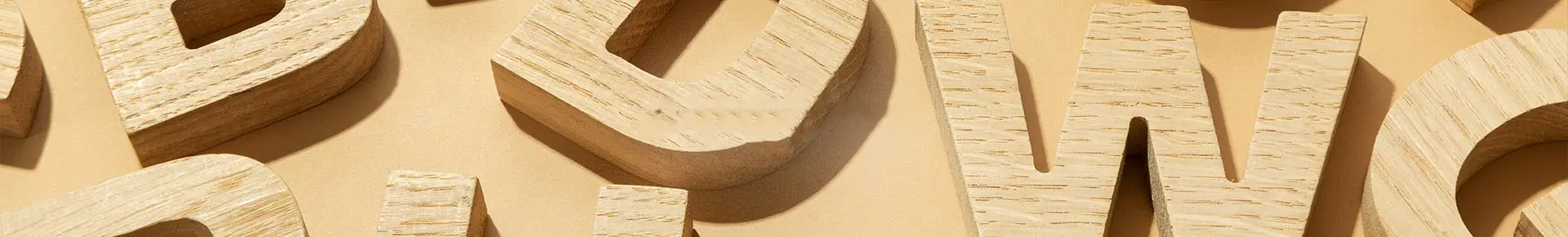 הצהרת נגישות חברת פסים